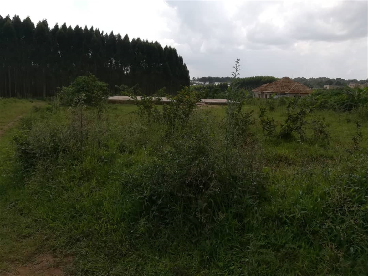 Residential Land for sale in Nabuuta Mukono