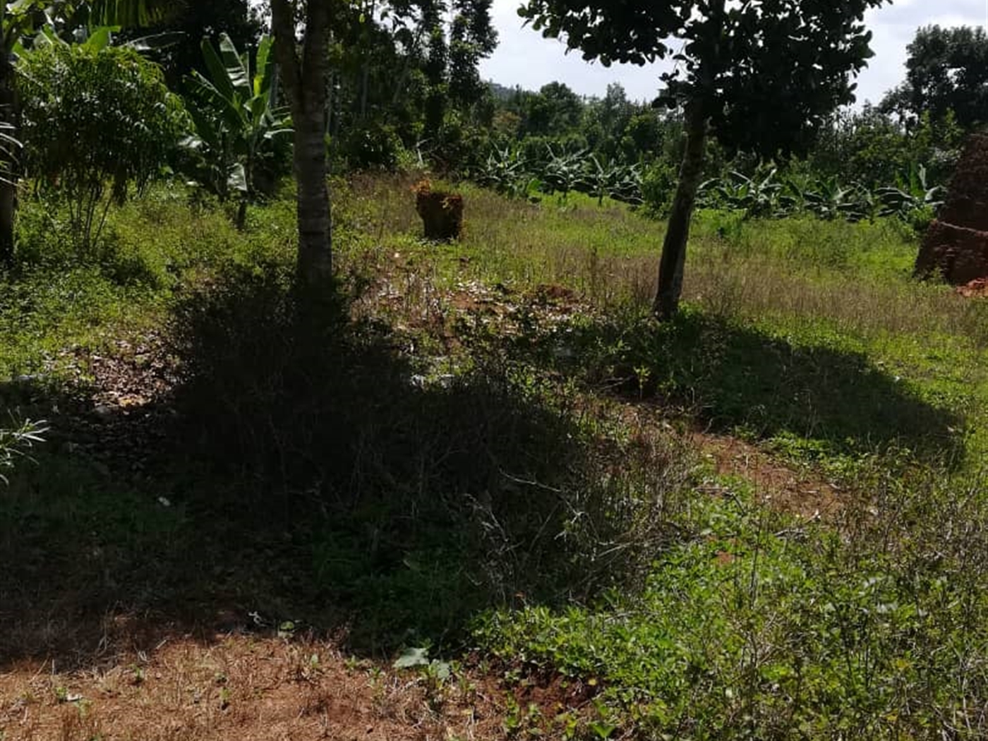 Residential Land for sale in Namawojjolo Mukono