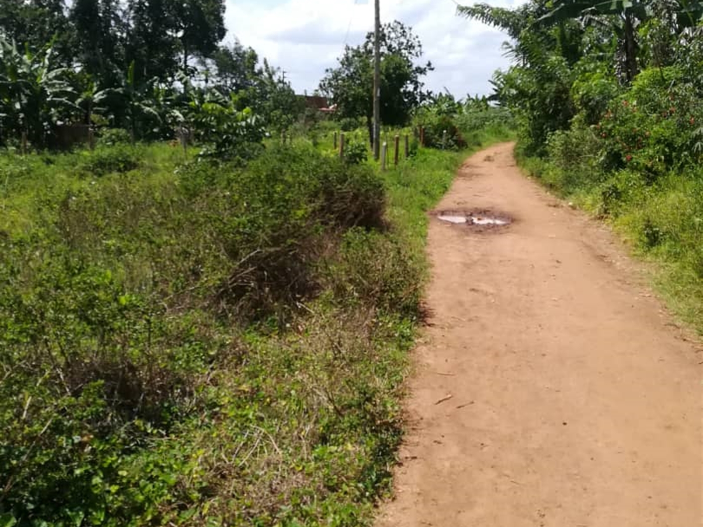 Residential Land for sale in Namawojjolo Mukono