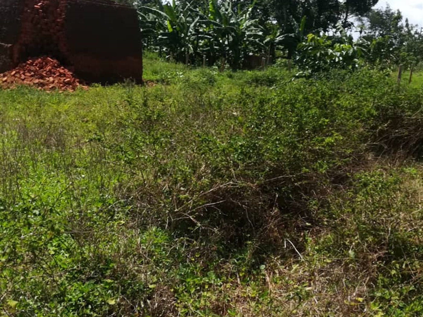 Residential Land for sale in Namawojjolo Mukono