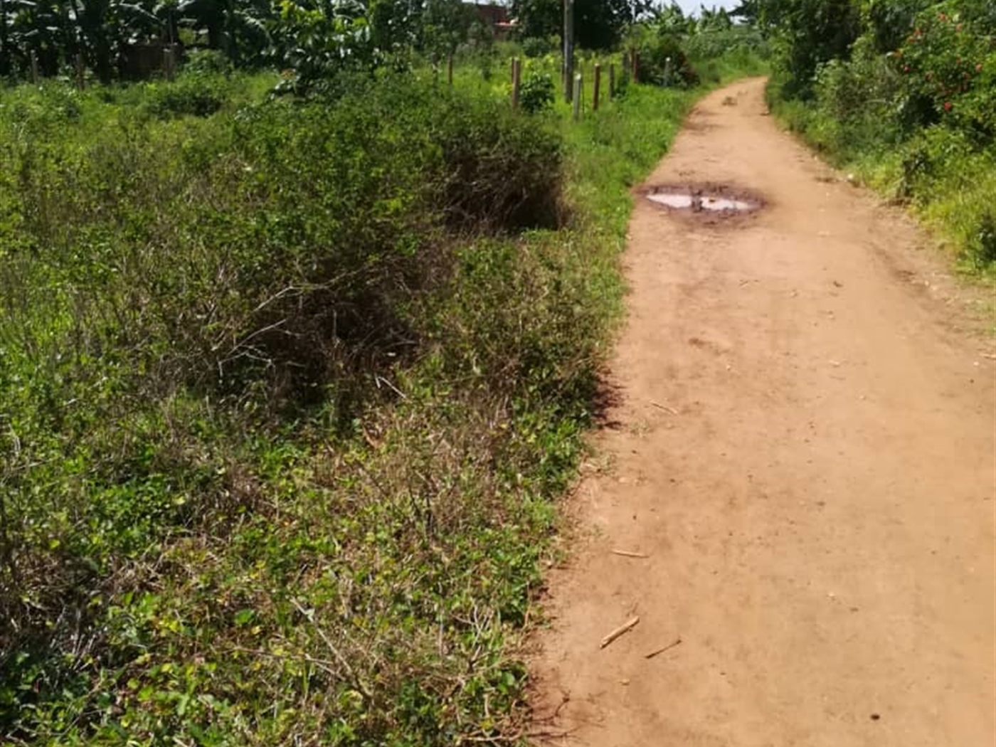 Residential Land for sale in Namawojjolo Mukono