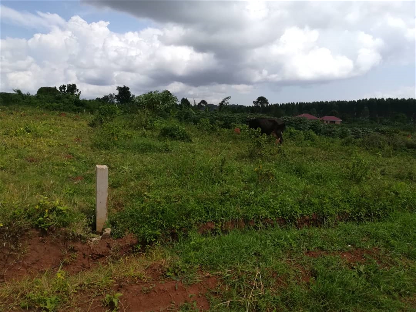 Residential Land for sale in Nabuuta Mukono