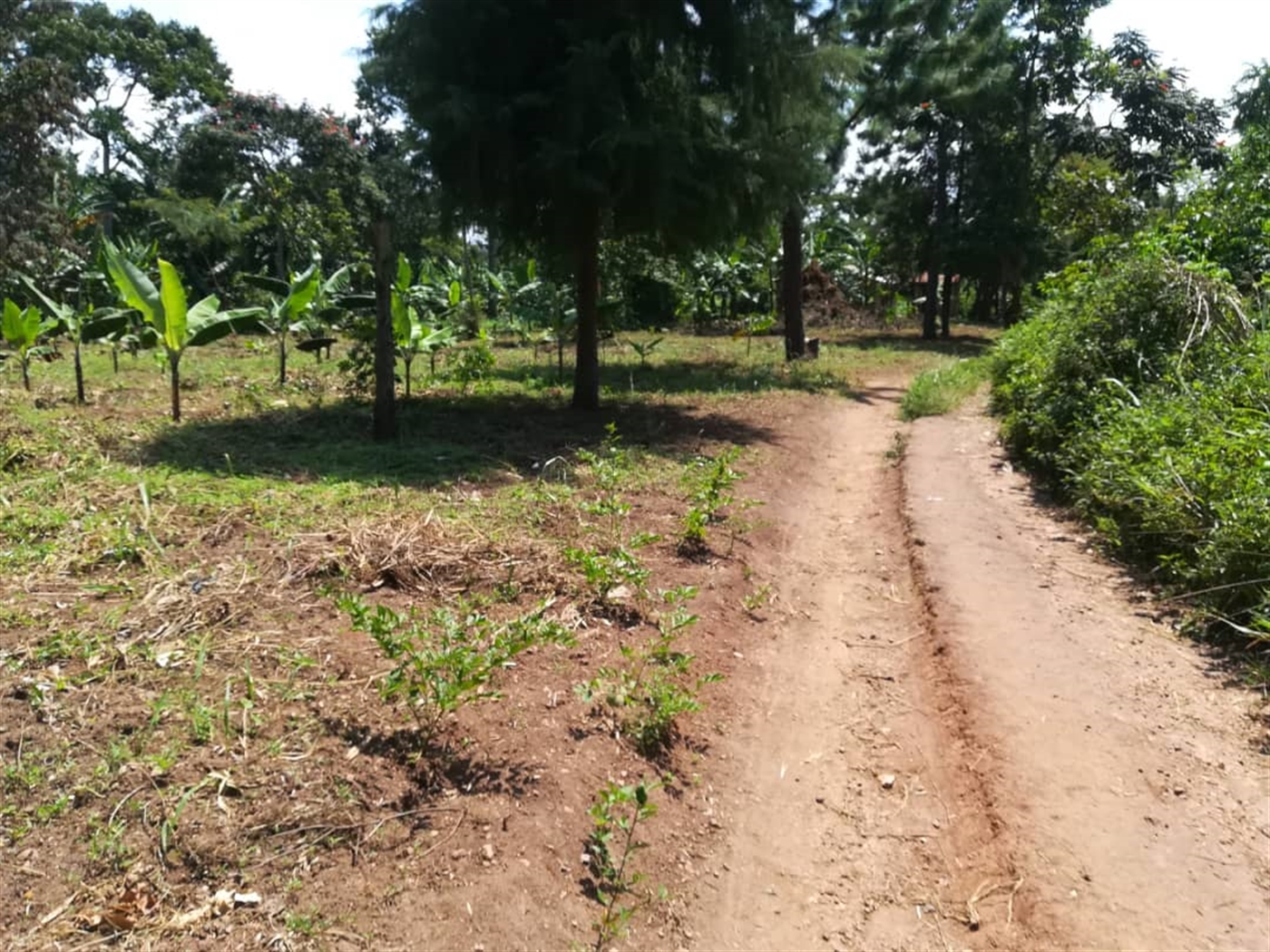 Residential Land for sale in Namawojjolo Mukono