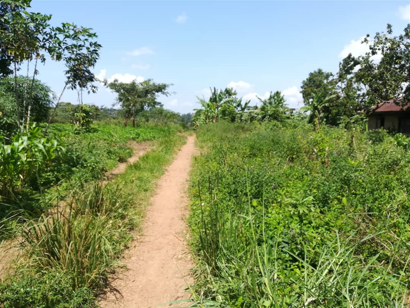 Residential Land for sale in Namawojjolo Mukono