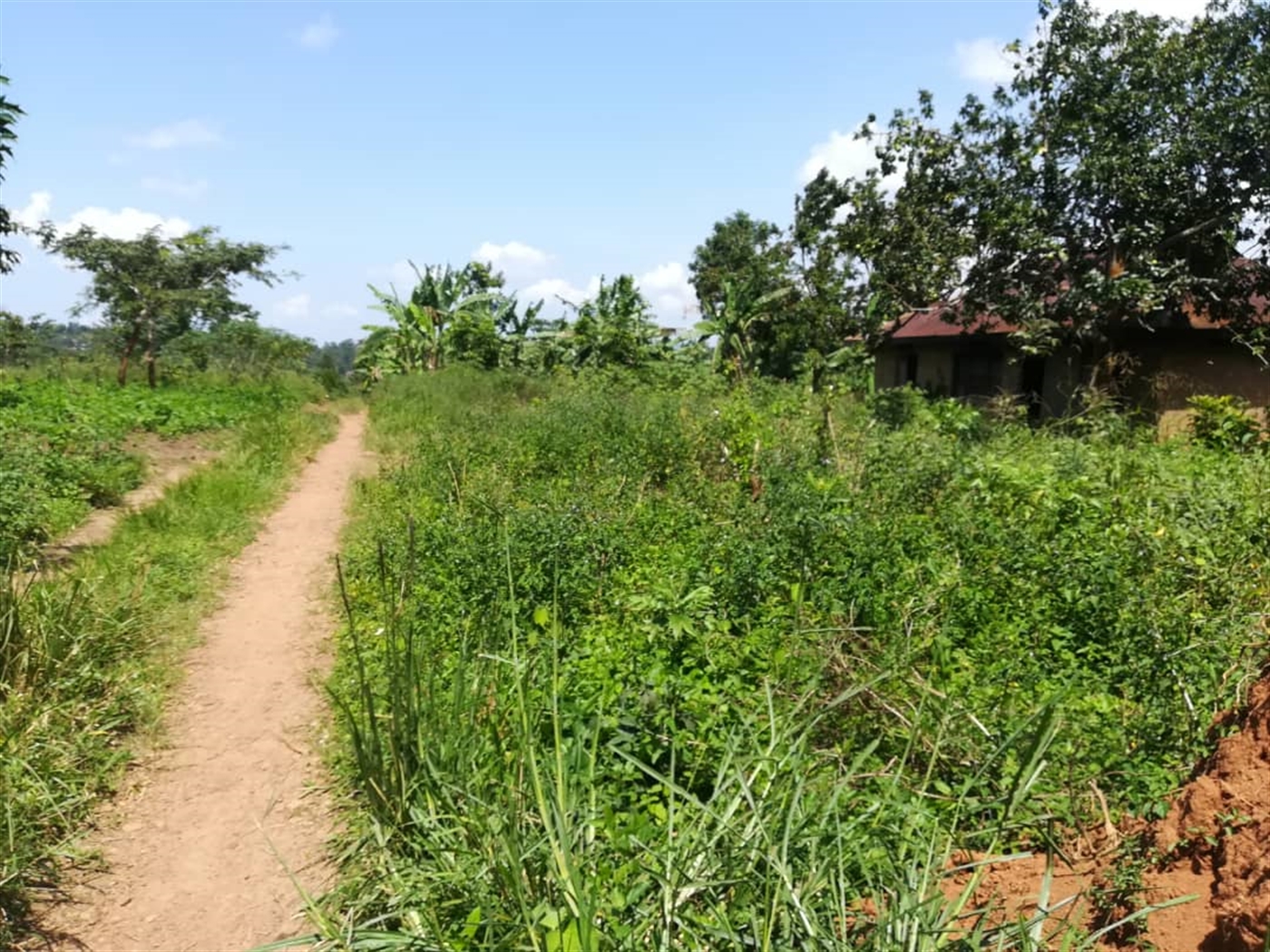 Residential Land for sale in Namawojjolo Mukono