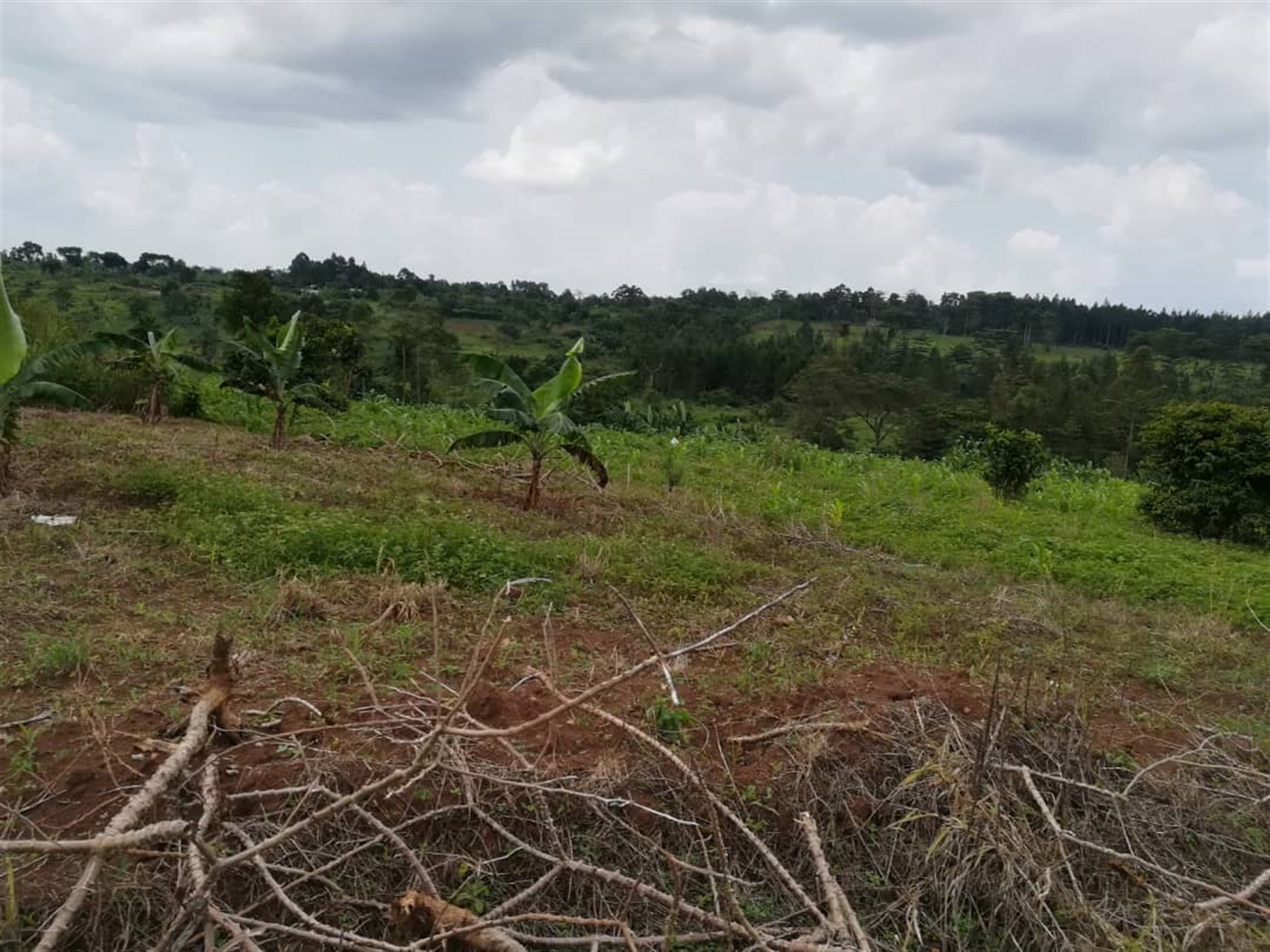 Residential Land for sale in Nabuuta Mukono