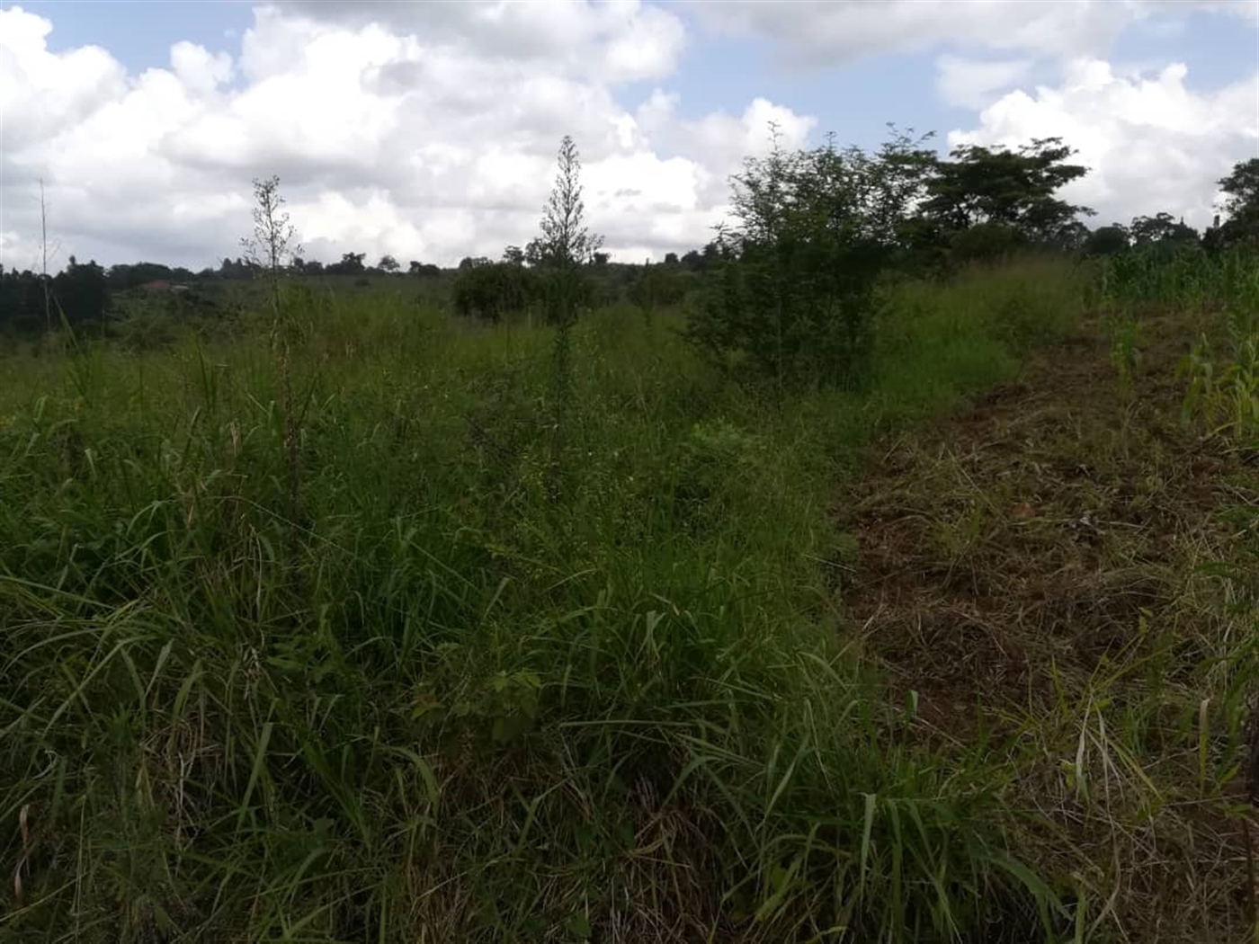 Residential Land for sale in Nabuuta Mukono