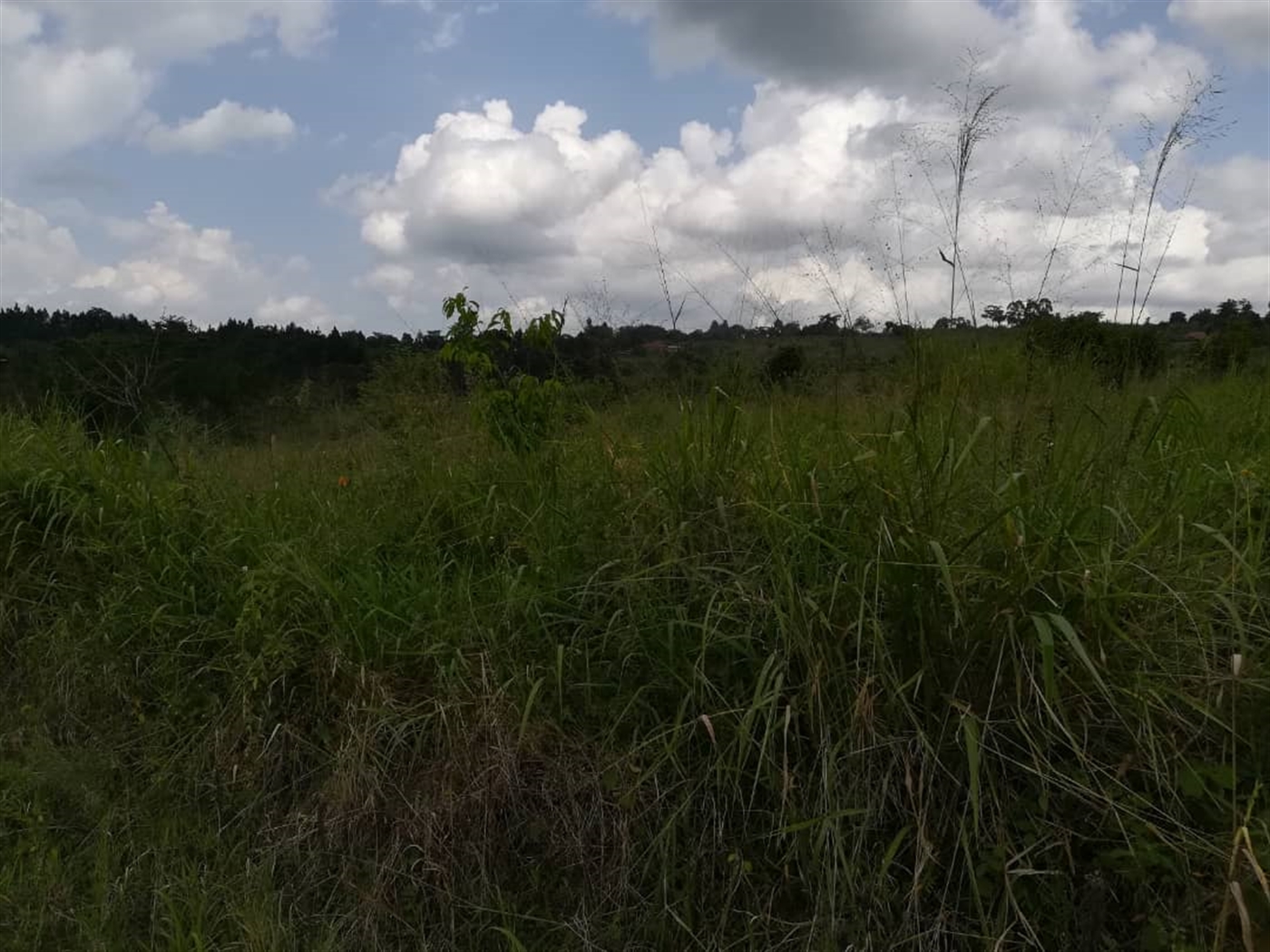 Residential Land for sale in Nabuuta Mukono