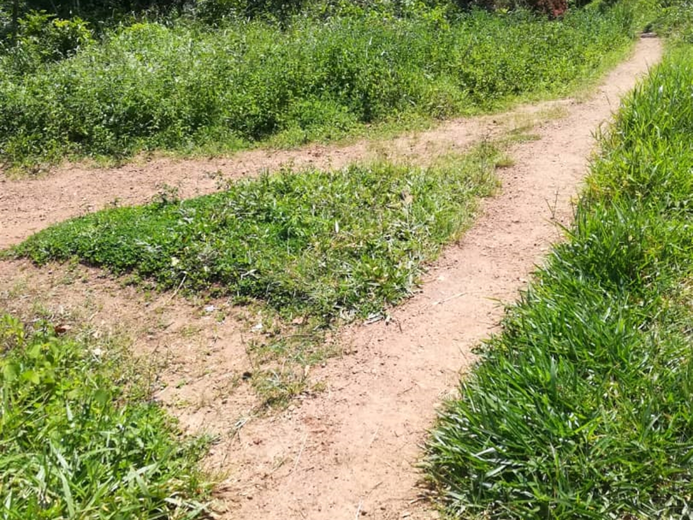 Residential Land for sale in Namawojjolo Mukono