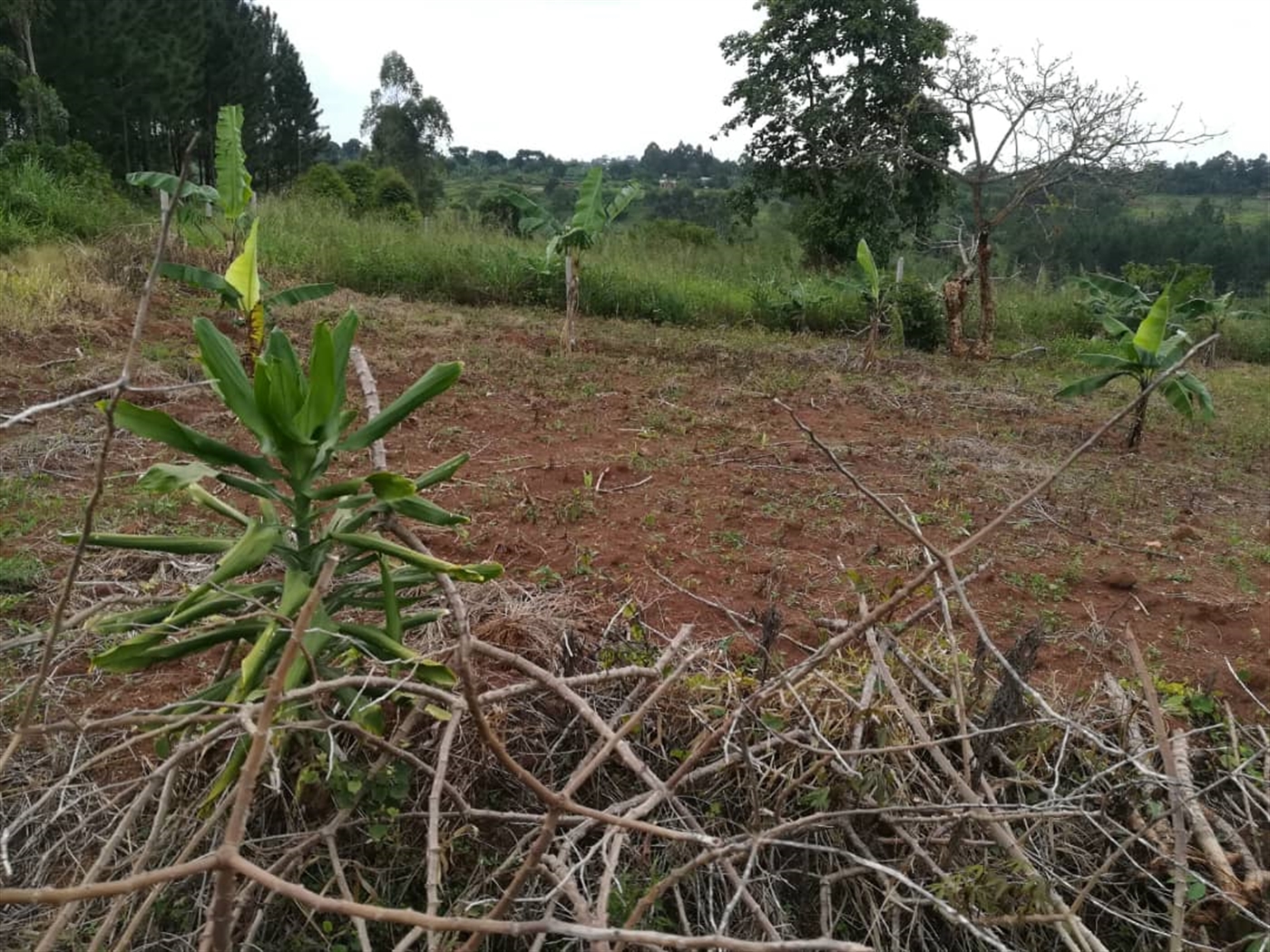 Residential Land for sale in Nabuuta Mukono