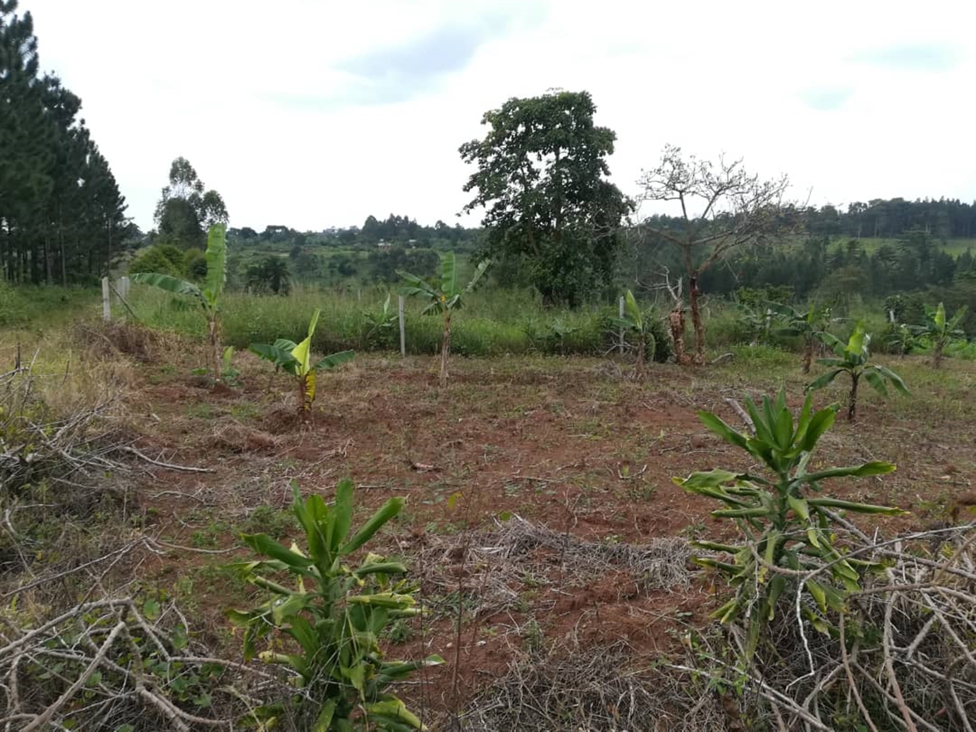 Residential Land for sale in Nabuuta Mukono