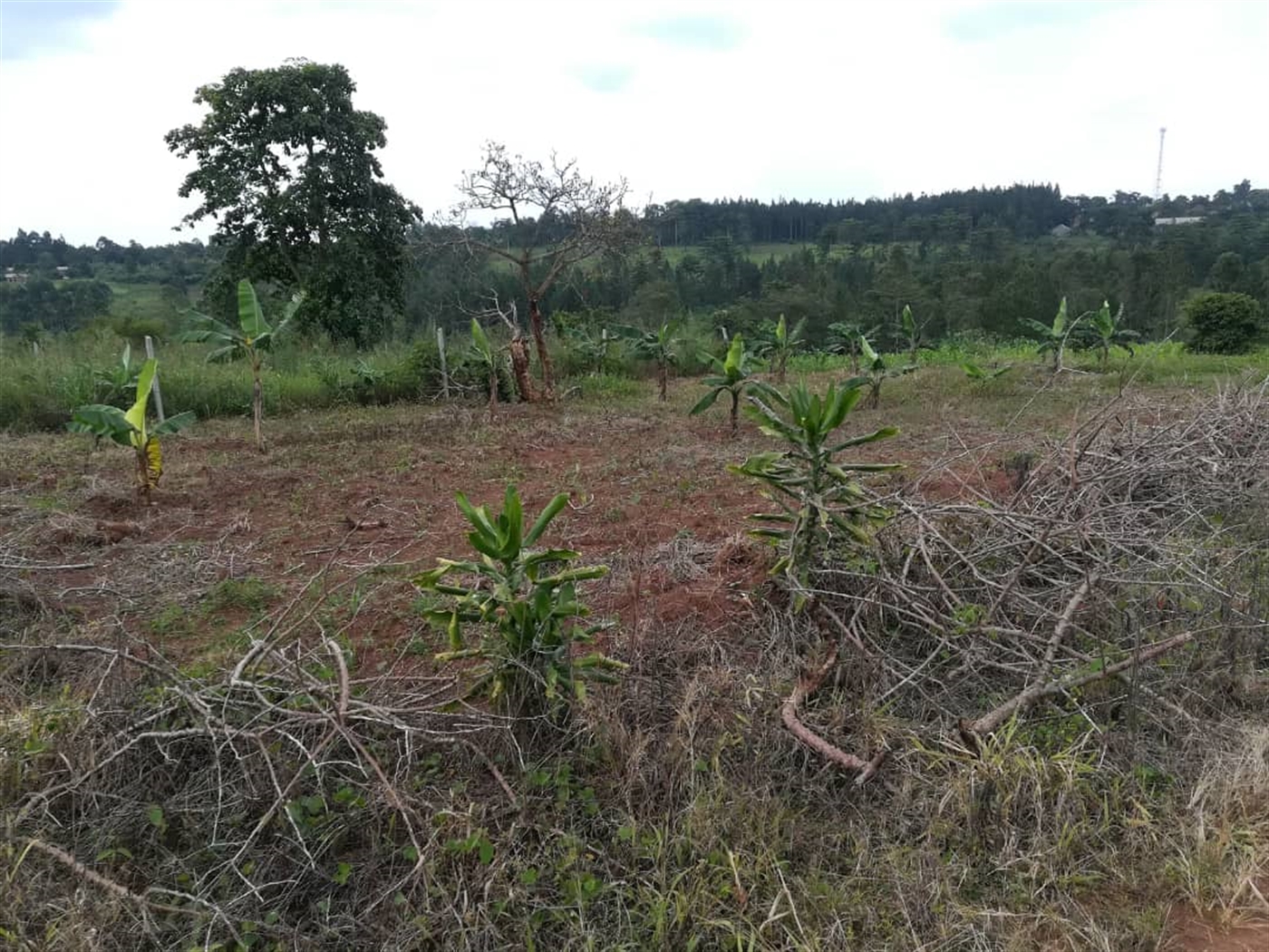 Residential Land for sale in Nabuuta Mukono