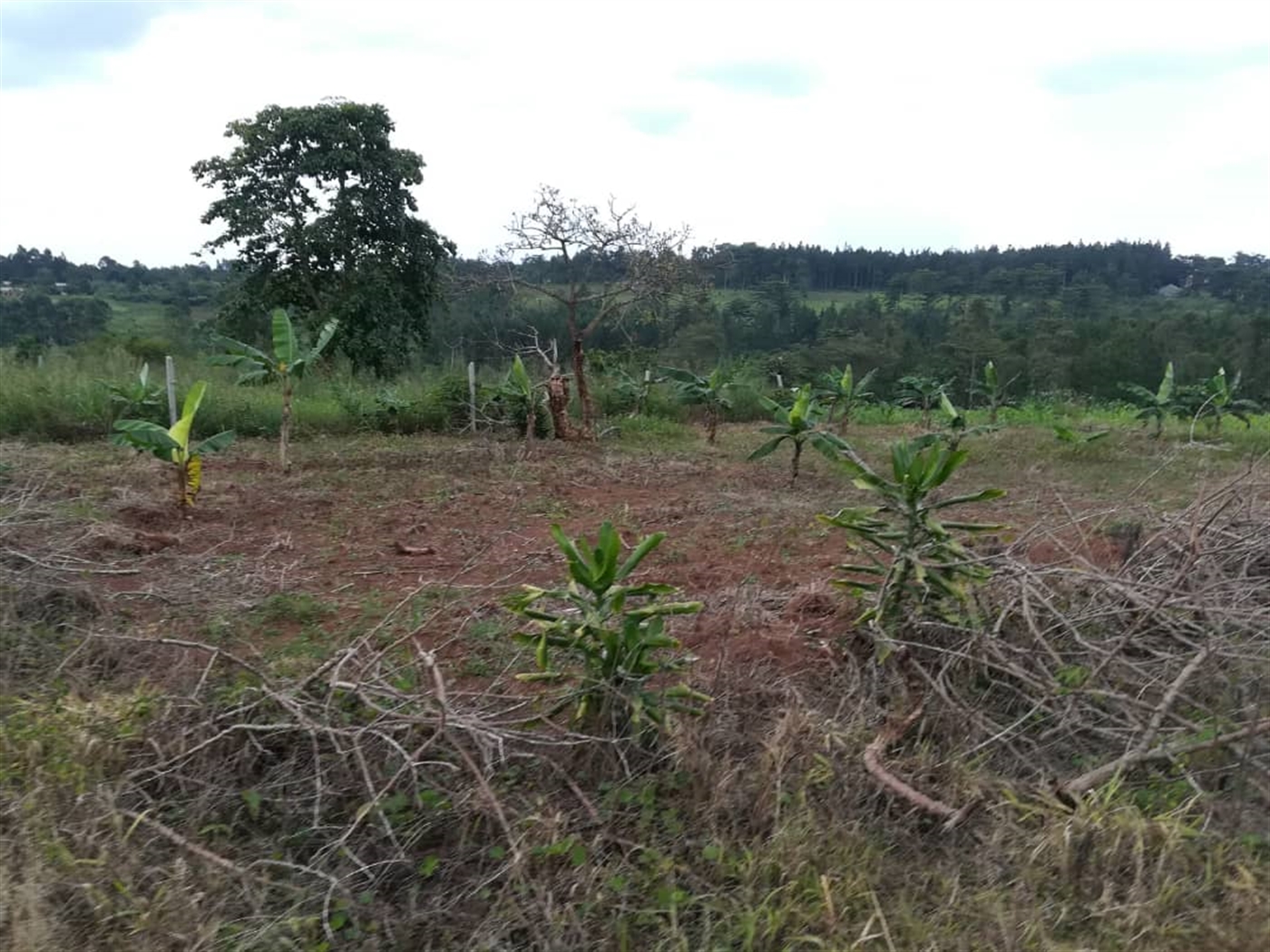 Residential Land for sale in Nabuuta Mukono