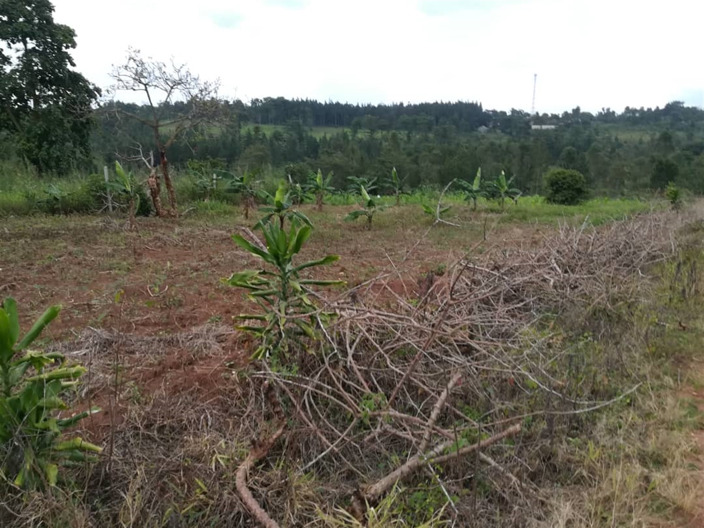 Residential Land for sale in Nabuuta Mukono