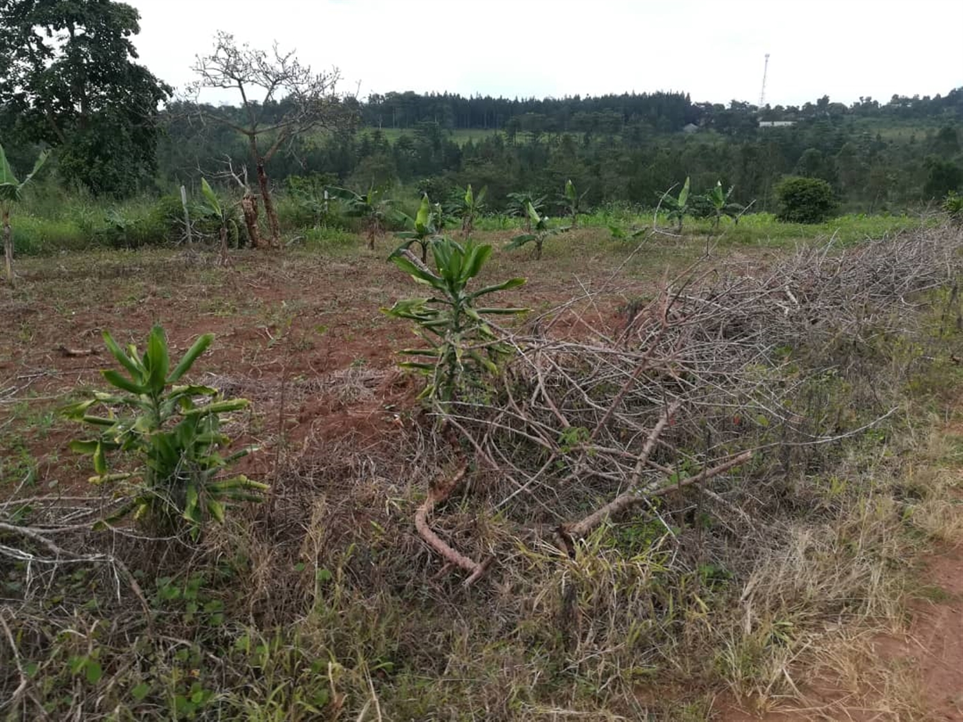 Residential Land for sale in Nabuuta Mukono