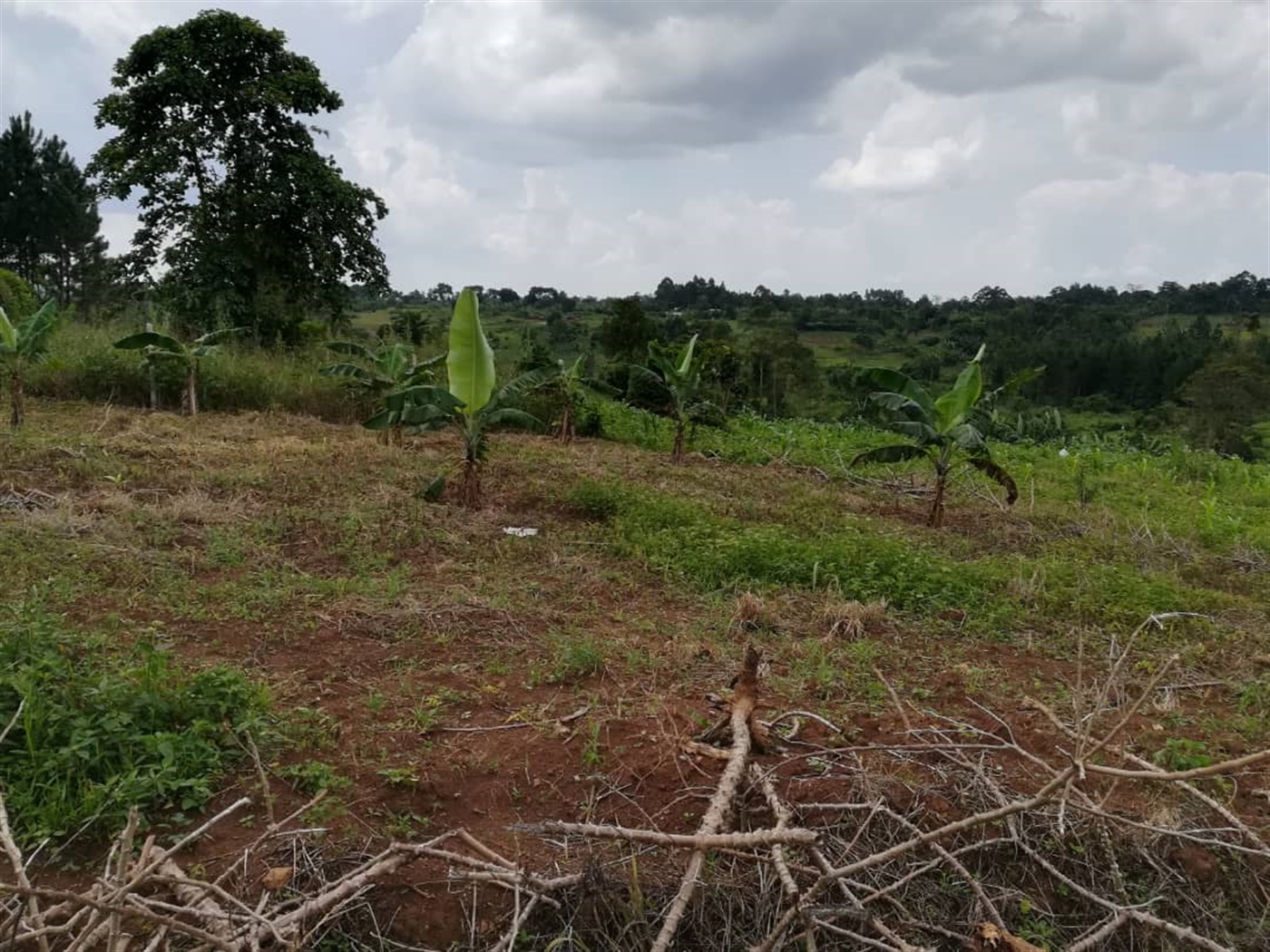 Residential Land for sale in Nabuuta Mukono