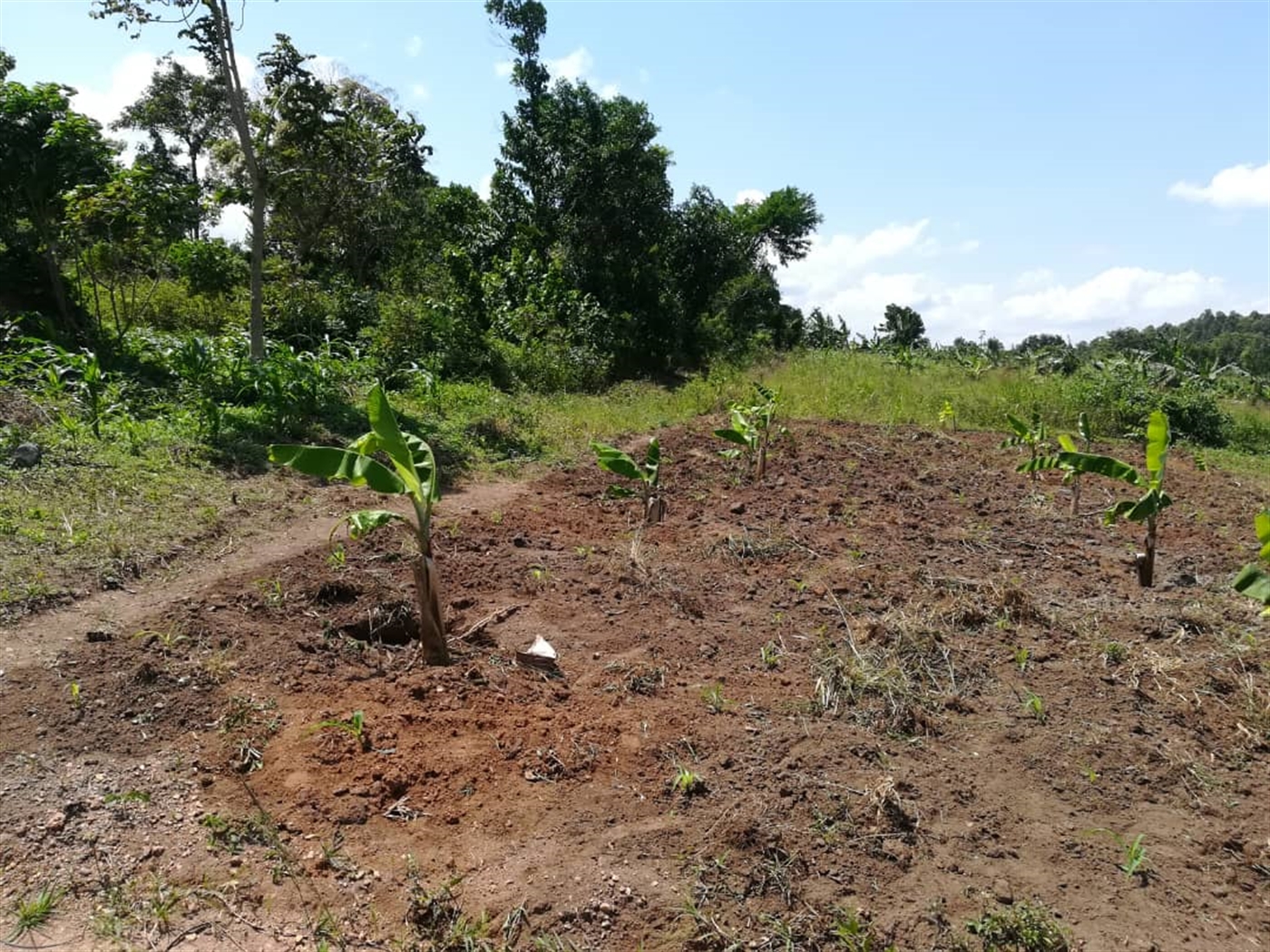 Residential Land for sale in Namawojjolo Mukono