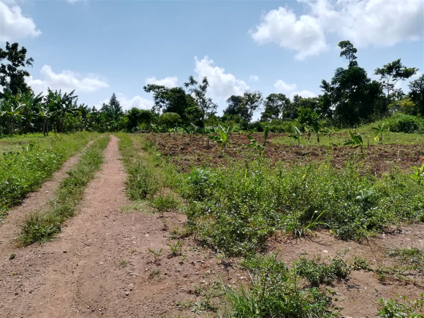 Residential Land for sale in Namawojjolo Mukono