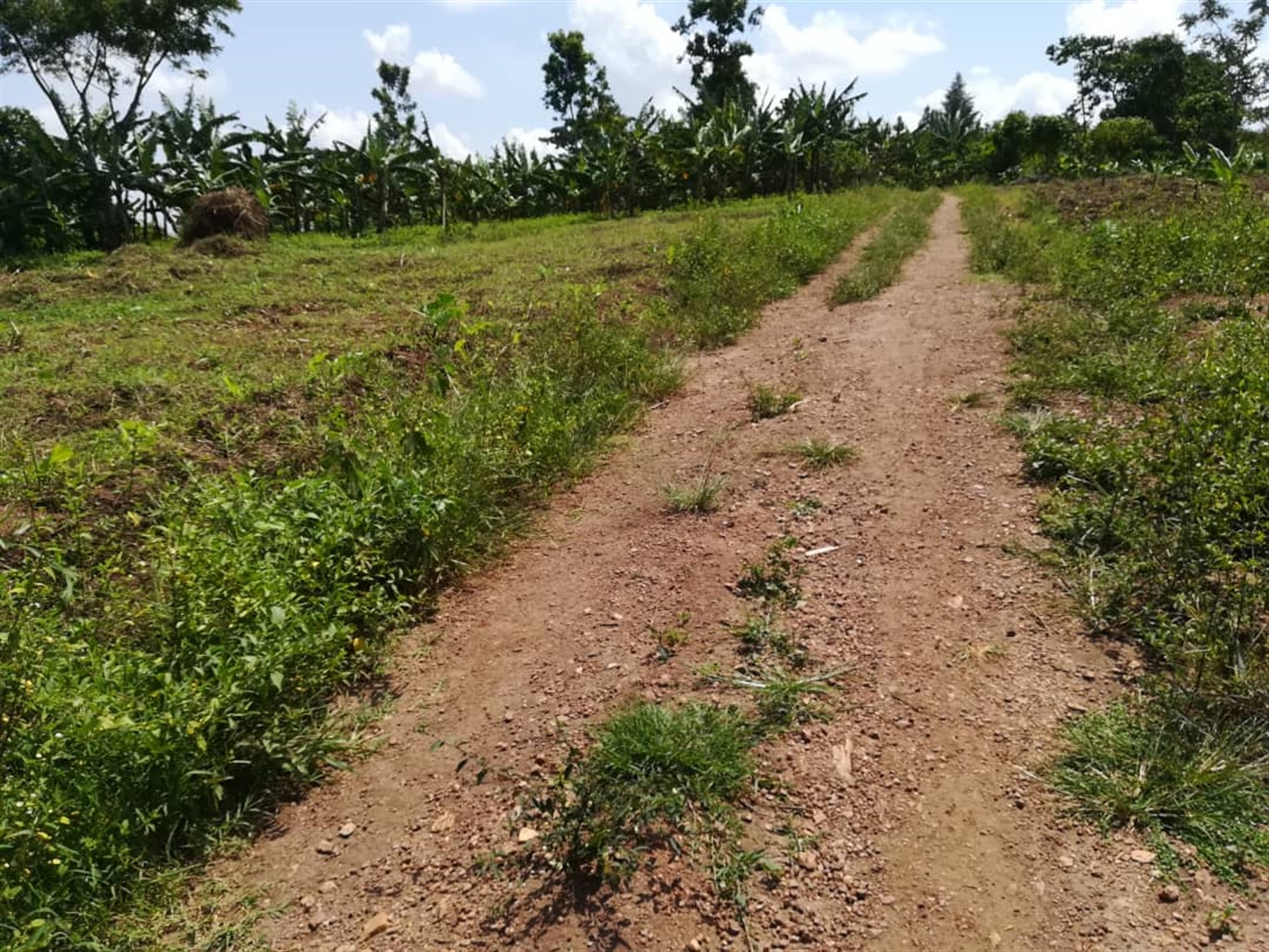 Residential Land for sale in Namawojjolo Mukono