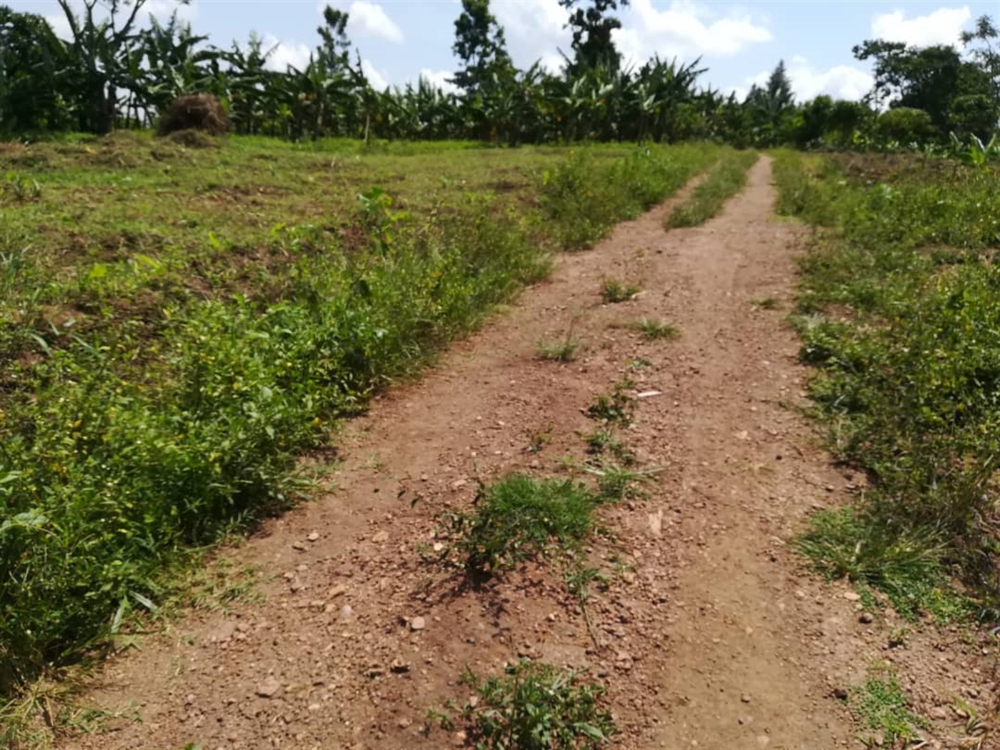 Residential Land for sale in Namawojjolo Mukono