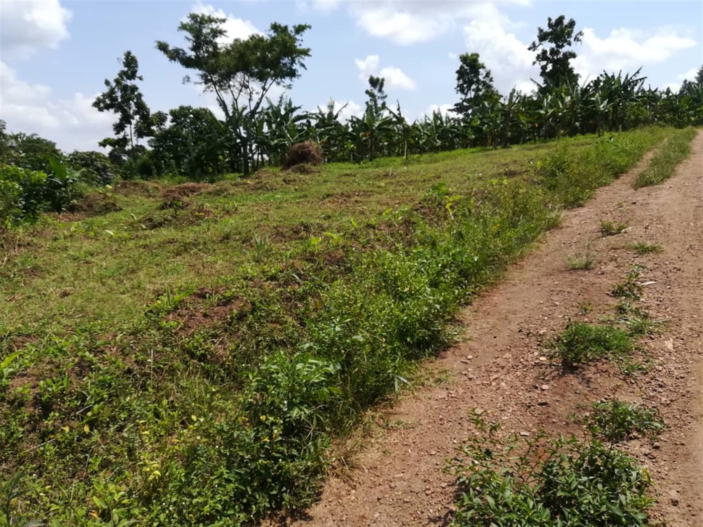 Residential Land for sale in Namawojjolo Mukono