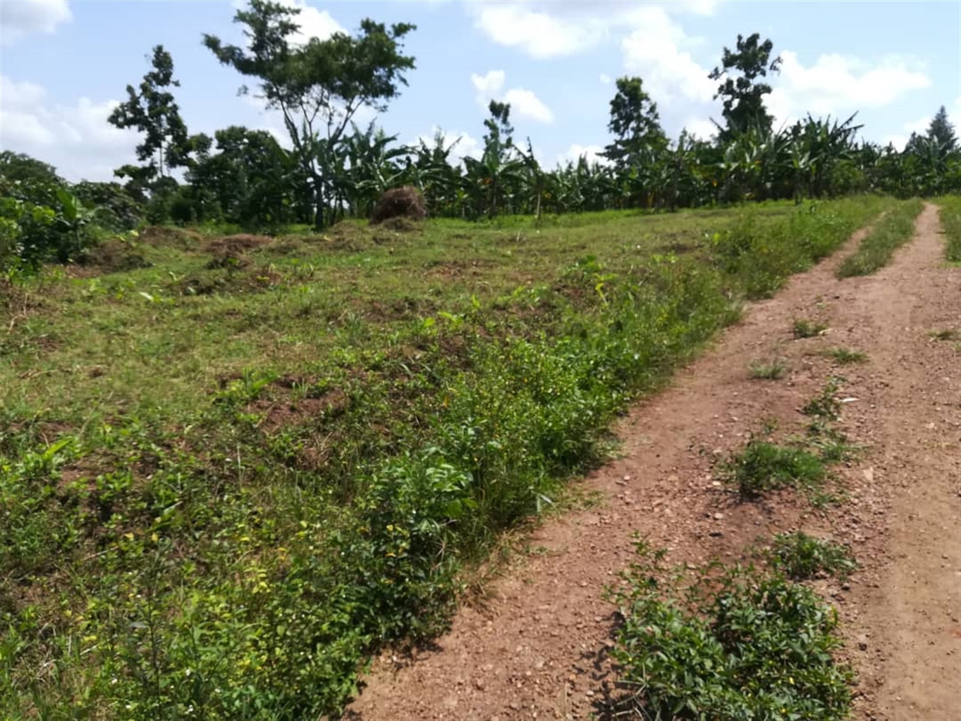 Residential Land for sale in Namawojjolo Mukono