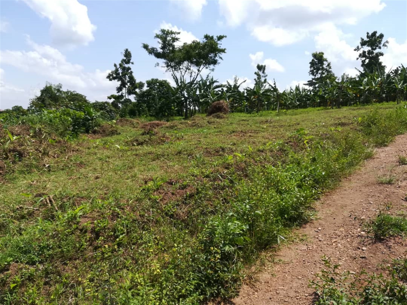 Residential Land for sale in Namawojjolo Mukono