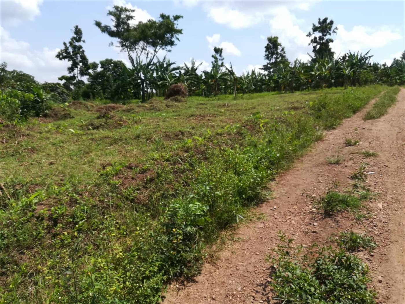 Residential Land for sale in Namawojjolo Mukono