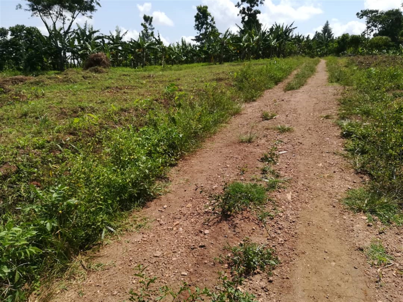 Residential Land for sale in Namawojjolo Mukono