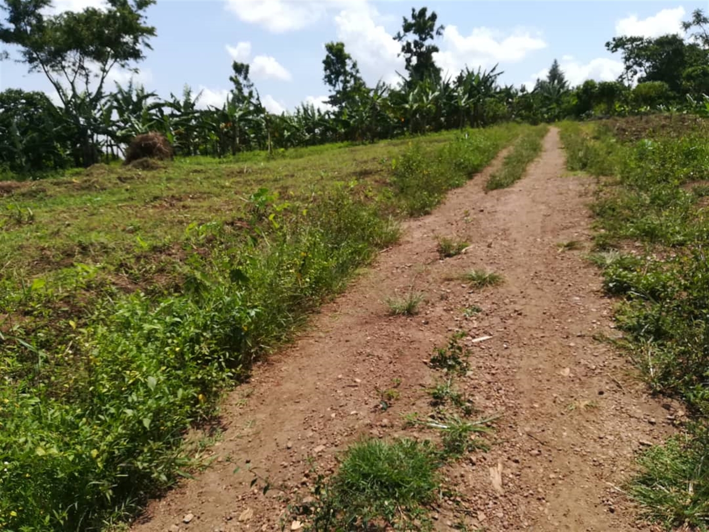 Residential Land for sale in Namawojjolo Mukono