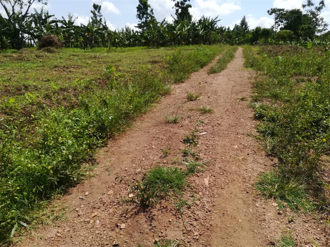 Residential Land for sale in Namawojjolo Mukono