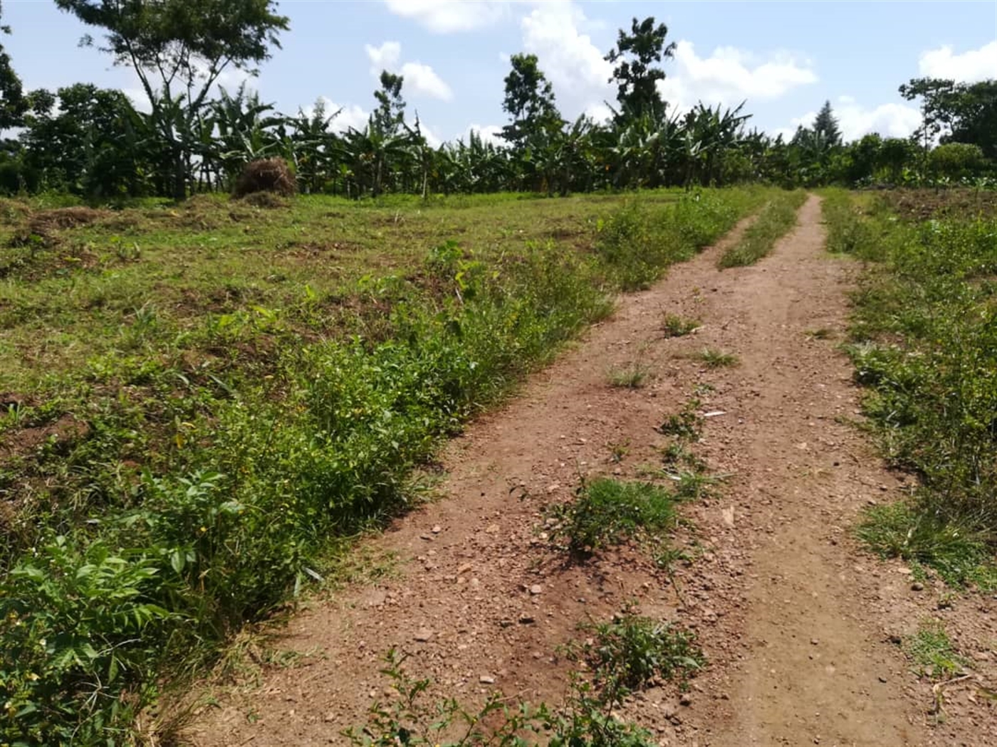 Residential Land for sale in Namawojjolo Mukono