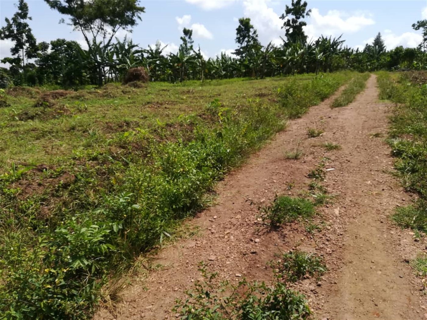 Residential Land for sale in Namawojjolo Mukono