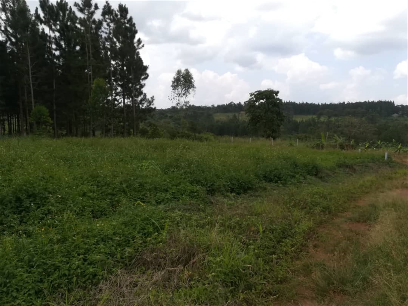 Residential Land for sale in Nabuuta Mukono