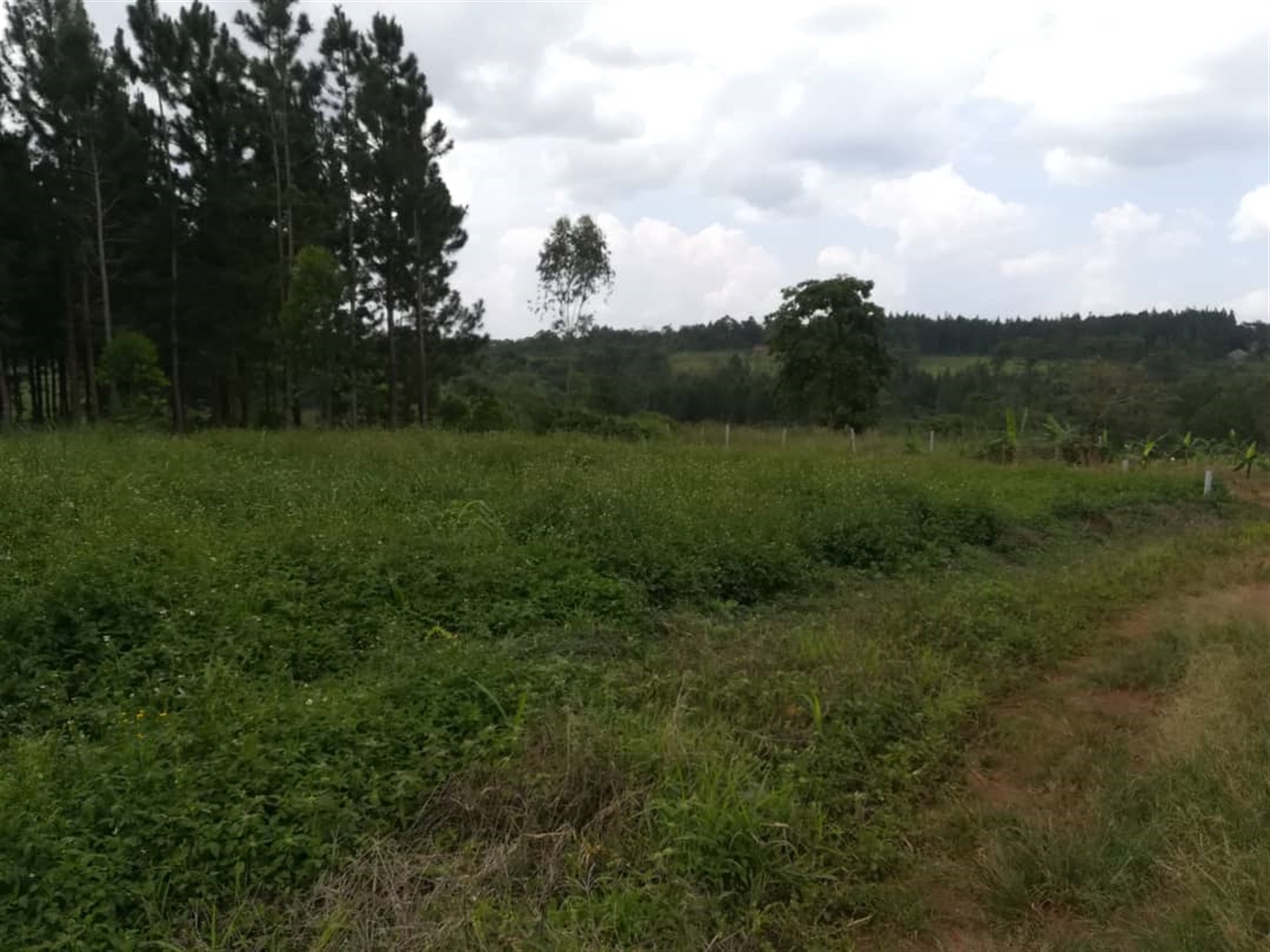 Residential Land for sale in Nabuuta Mukono