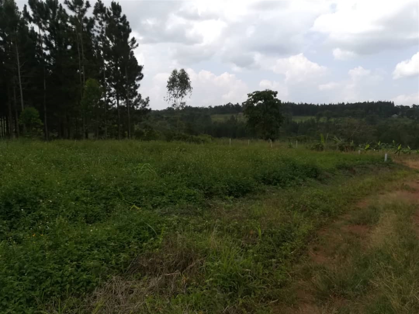 Residential Land for sale in Nabuuta Mukono