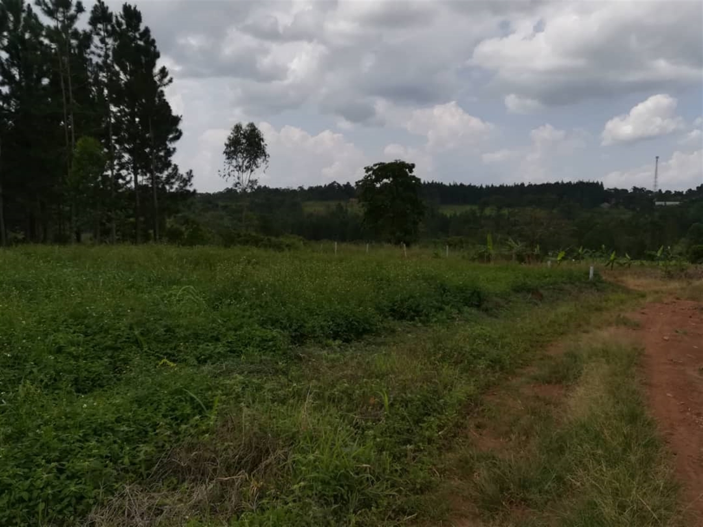 Residential Land for sale in Nabuuta Mukono