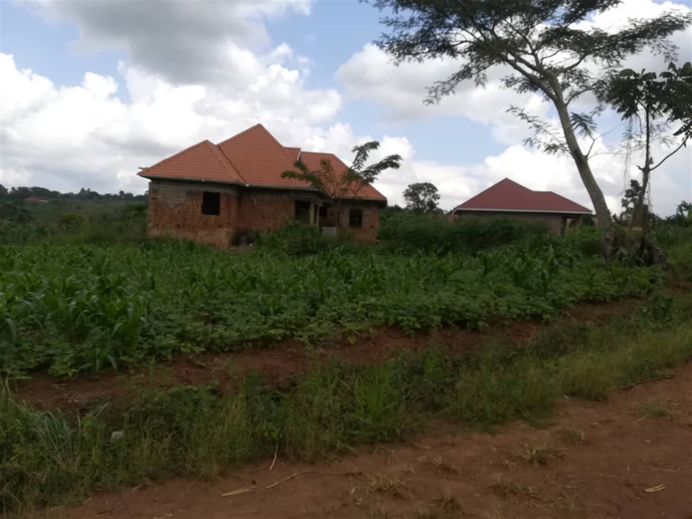 Residential Land for sale in Nabuuta Mukono