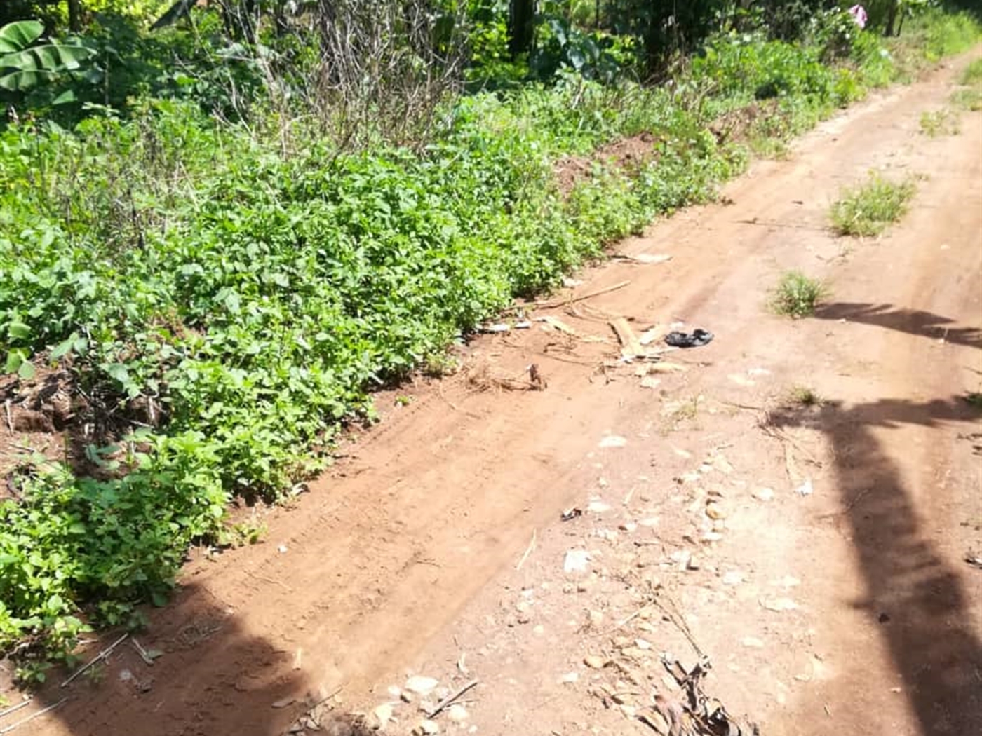 Residential Land for sale in Namawojjolo Mukono