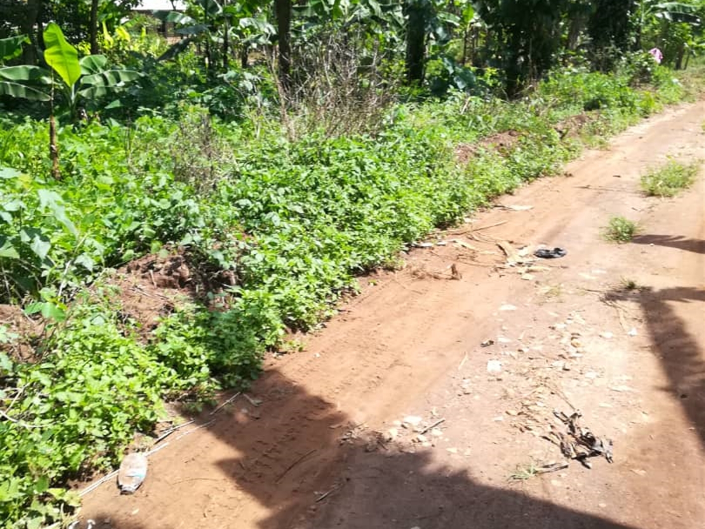 Residential Land for sale in Namawojjolo Mukono