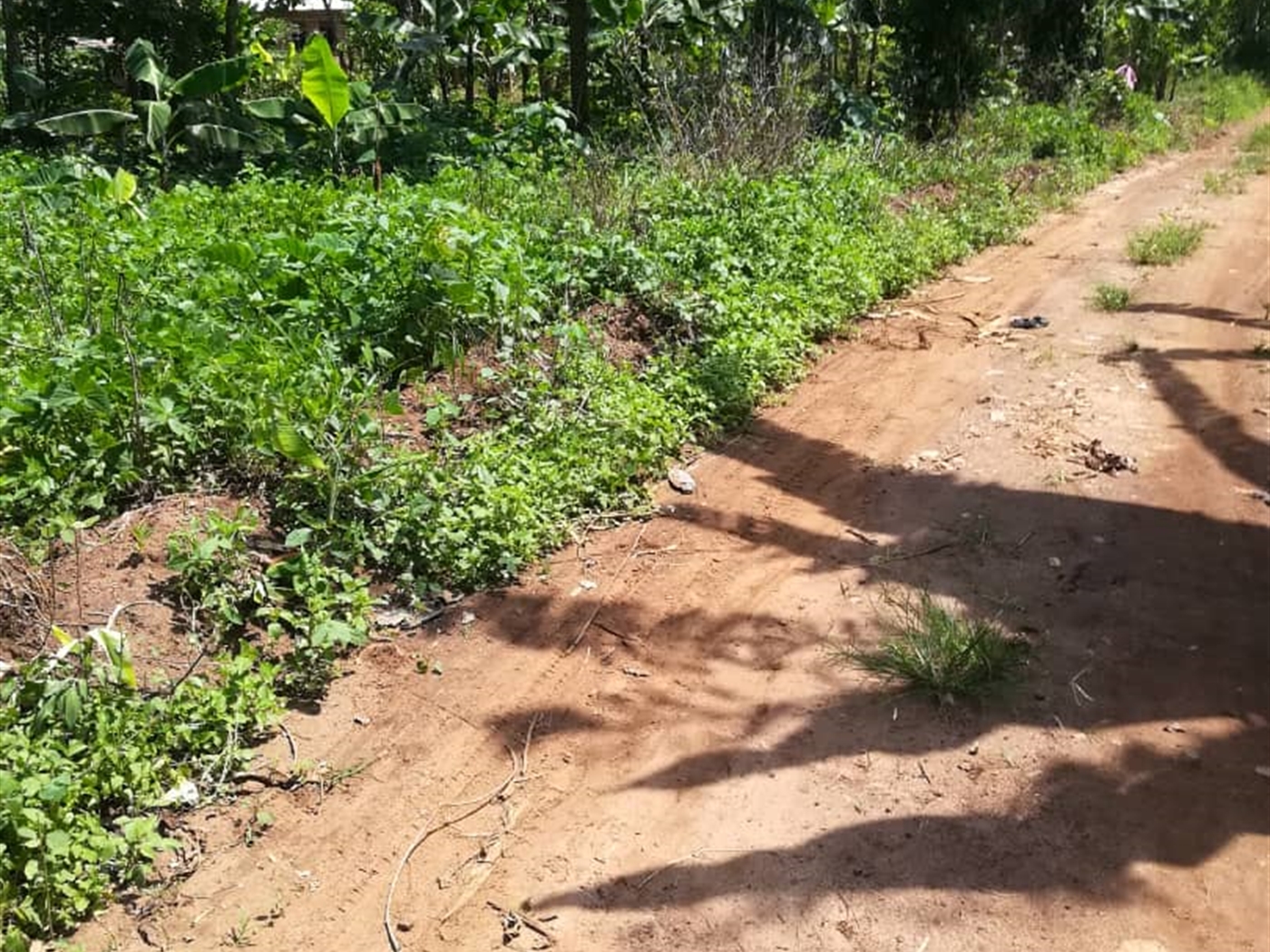 Residential Land for sale in Namawojjolo Mukono