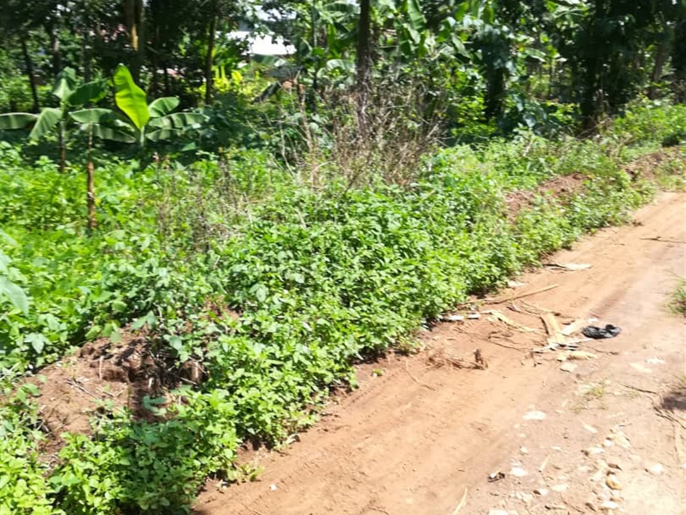 Residential Land for sale in Namawojjolo Mukono