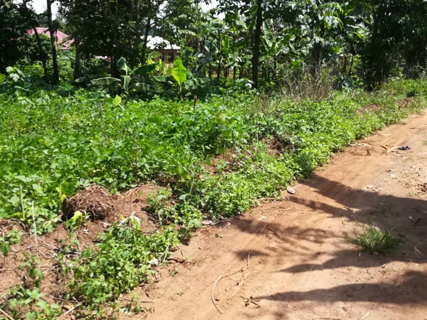 Residential Land for sale in Namawojjolo Mukono