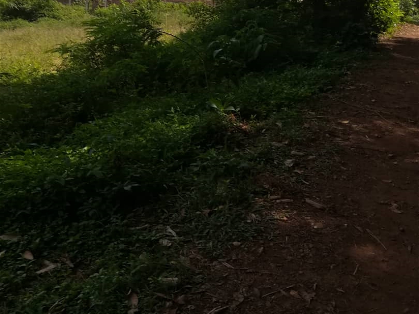 Residential Land for sale in Namawojjolo Mukono