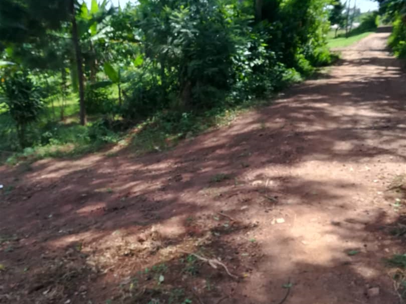 Residential Land for sale in Namawojjolo Mukono