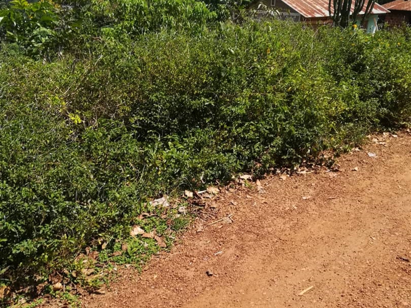 Residential Land for sale in Namawojjolo Mukono