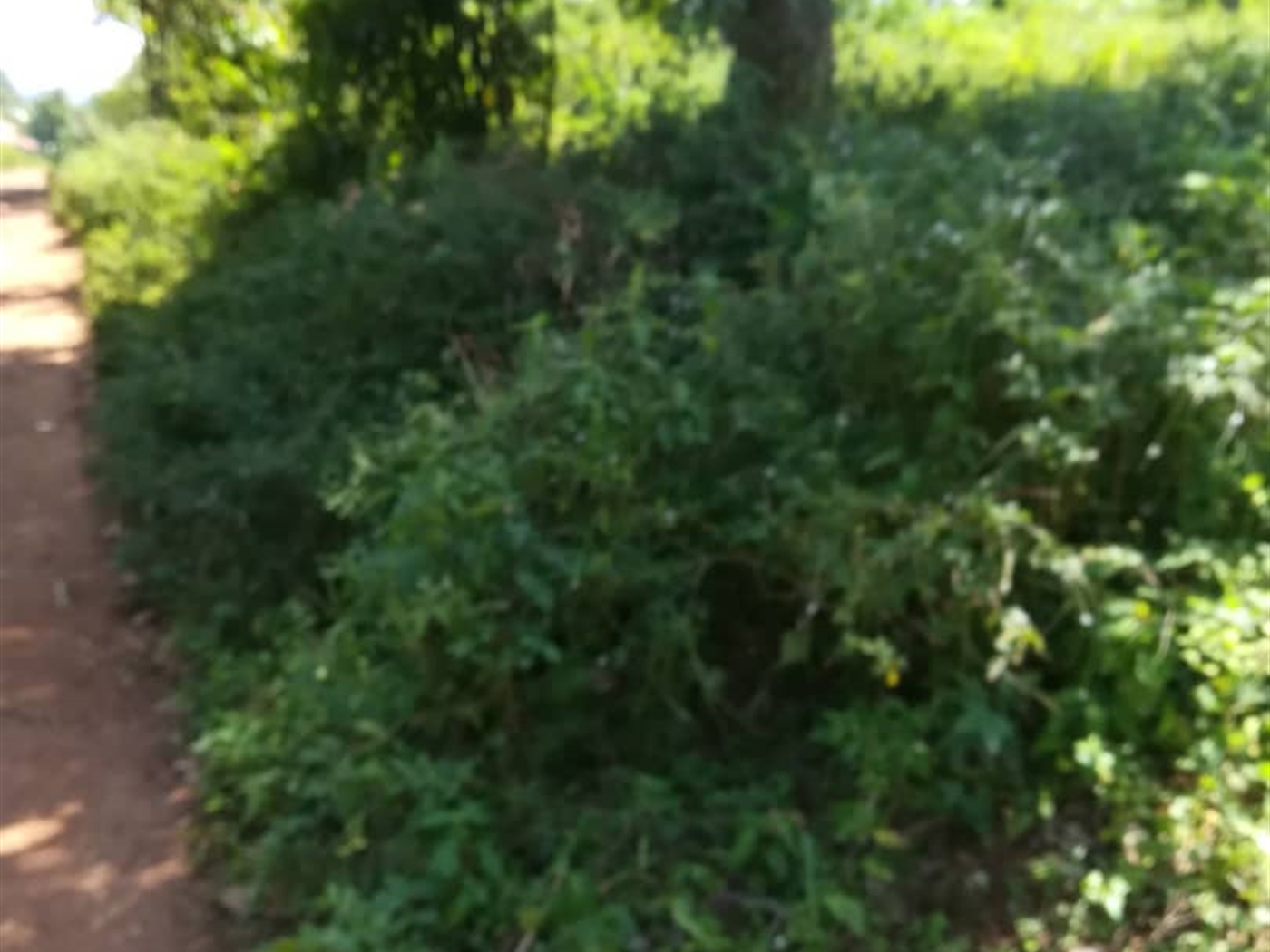 Residential Land for sale in Namawojjolo Mukono