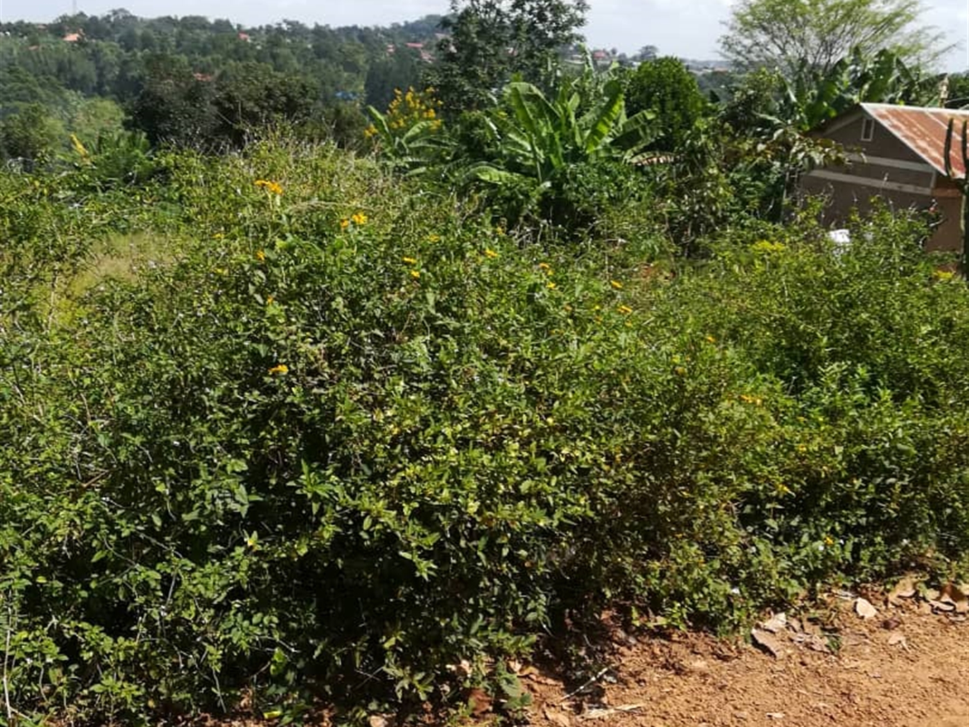 Residential Land for sale in Namawojjolo Mukono