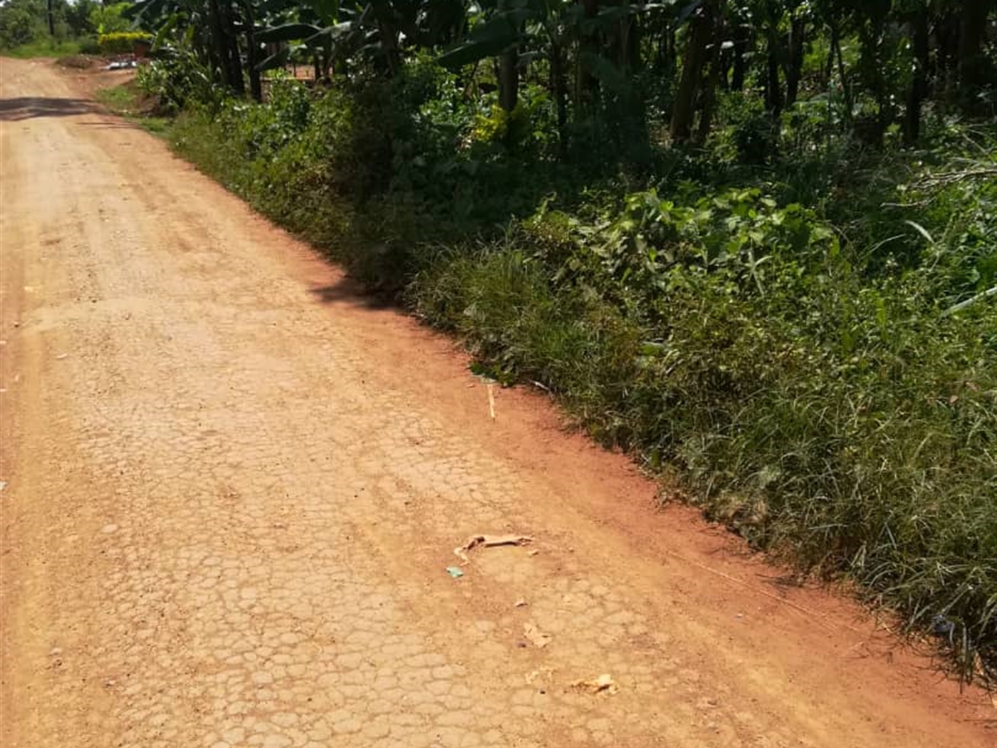 Residential Land for sale in Namawojjolo Mukono