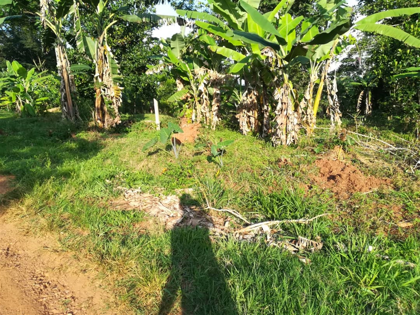 Residential Land for sale in Nakabago Mukono